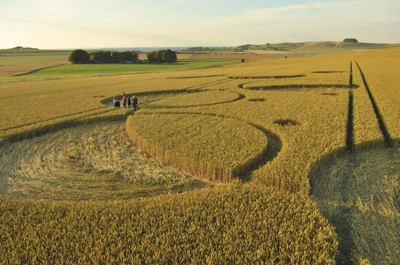 Roundway Hill, Wiltshire crop circle, aerial photo 39