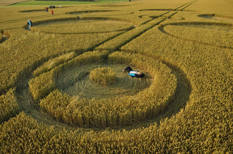 Roundway Hill, Wiltshire crop circle, aerial photo 40