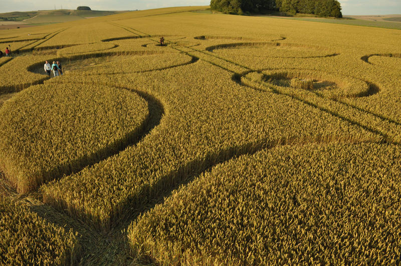 Roundway Hill, Wiltshire crop circle, aerial photo 41