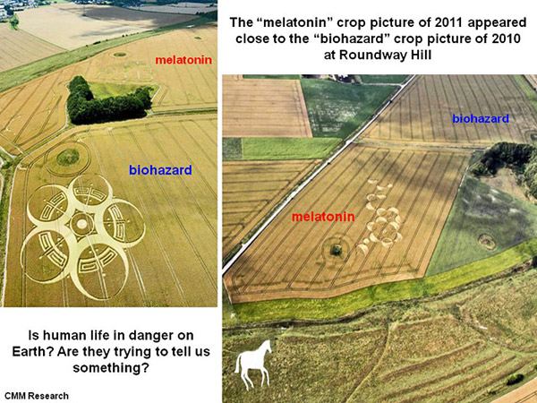 Roundway Hill, Wiltshire crop circle, aerial photo 25