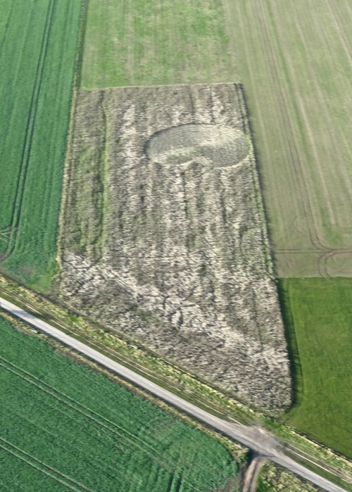 Roundway Hill (3), Wiltshire crop circle, aerial photo 4