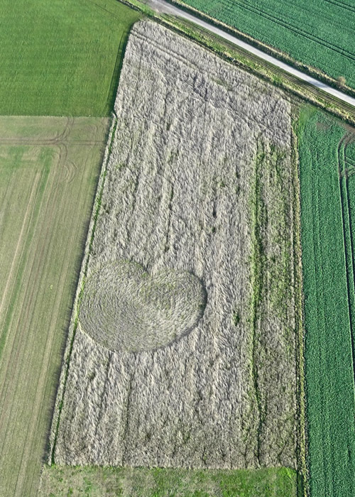 Roundway Hill (3), Wiltshire crop circle, aerial photo 5