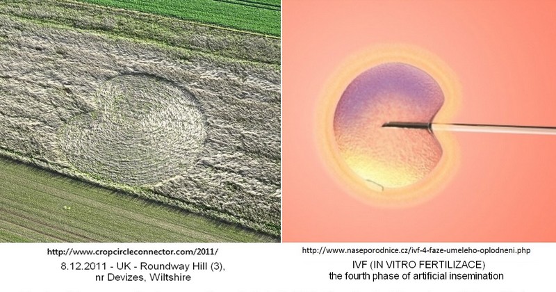 Roundway Hill (3), Wiltshire crop circle, aerial photo 32