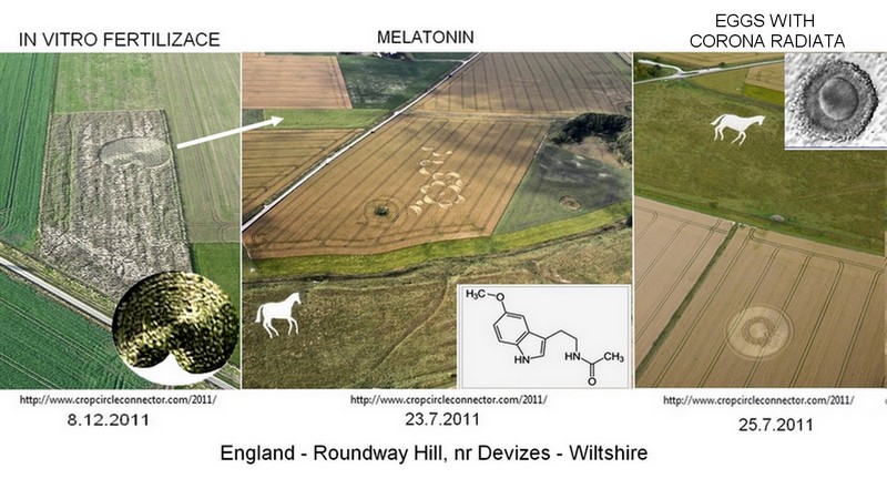 Roundway Hill (3), Wiltshire crop circle, aerial photo 33