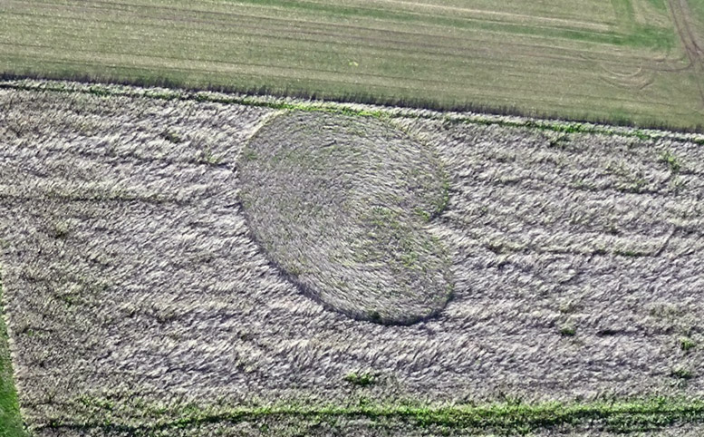 Roundway Hill (3), Wiltshire crop circle, aerial photo 3