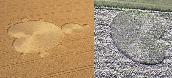 Roundway Hill (3), Wiltshire crop circle, aerial photo 31