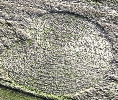 Roundway Hill (3), Wiltshire crop circle, aerial photo 2