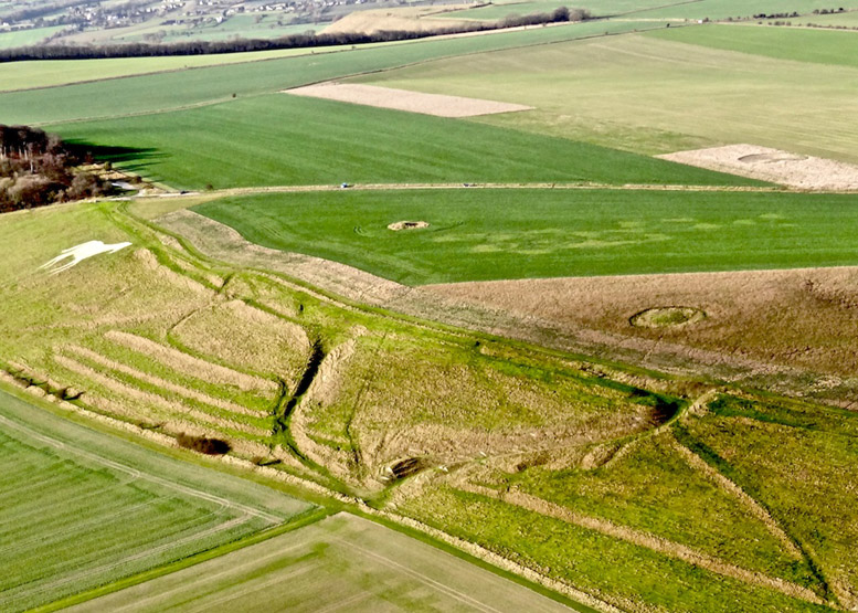 Roundway Hill (3), Wiltshire crop circle, aerial photo 7