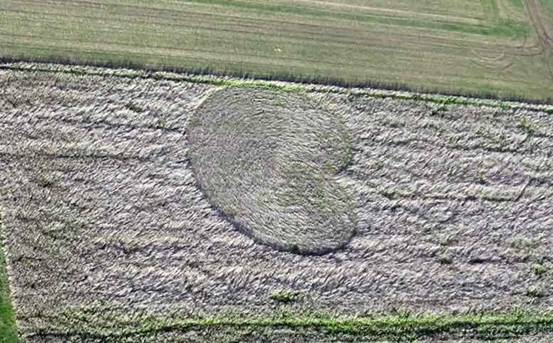Roundway Hill (3), Wiltshire crop circle, aerial photo 8