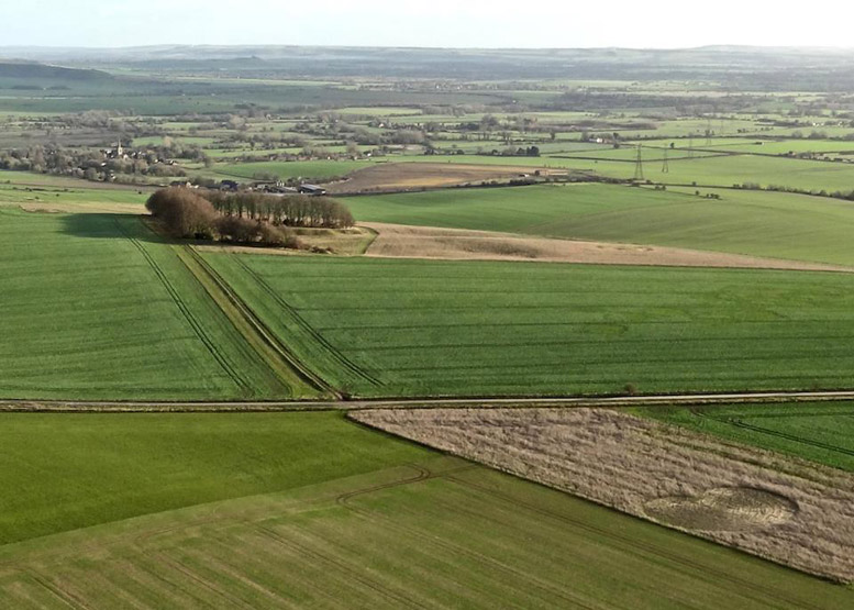 Roundway Hill (3), Wiltshire crop circle, aerial photo 6
