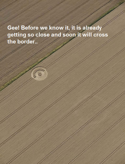 Silbury Hill, Wiltshire crop circle, aerial photo 5