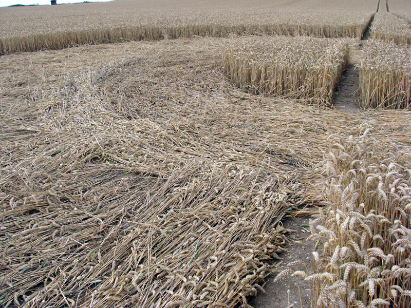Silbury Hill, Wiltshire crop circle, aerial photo 11