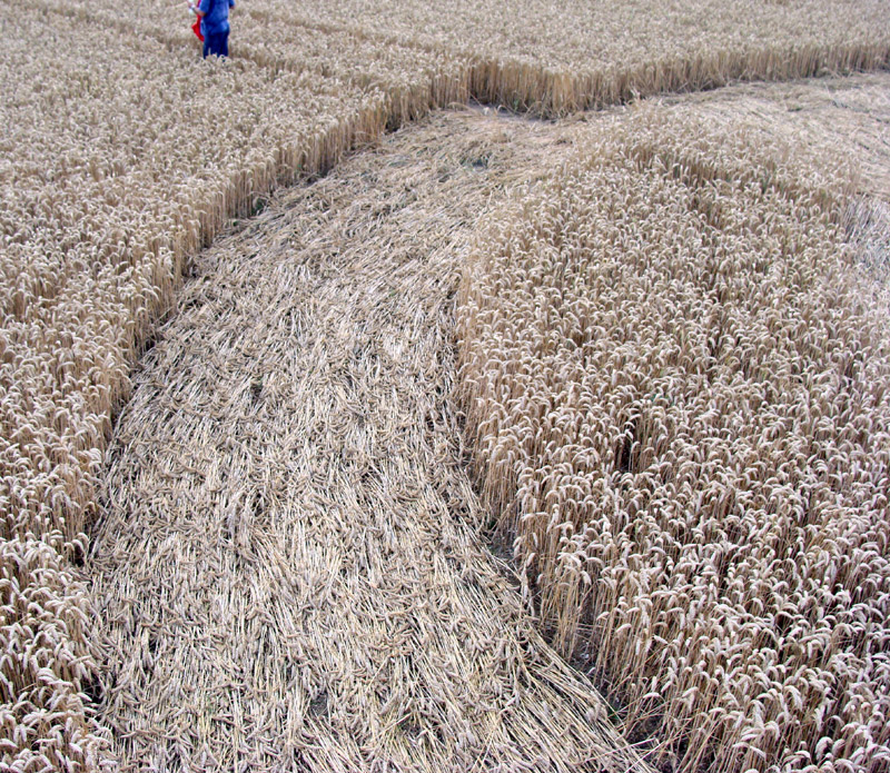 Silbury Hill, Wiltshire crop circle, aerial photo 12