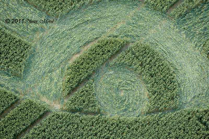 Cow Drove Hill, Hampshire crop circle, aerial photo 6