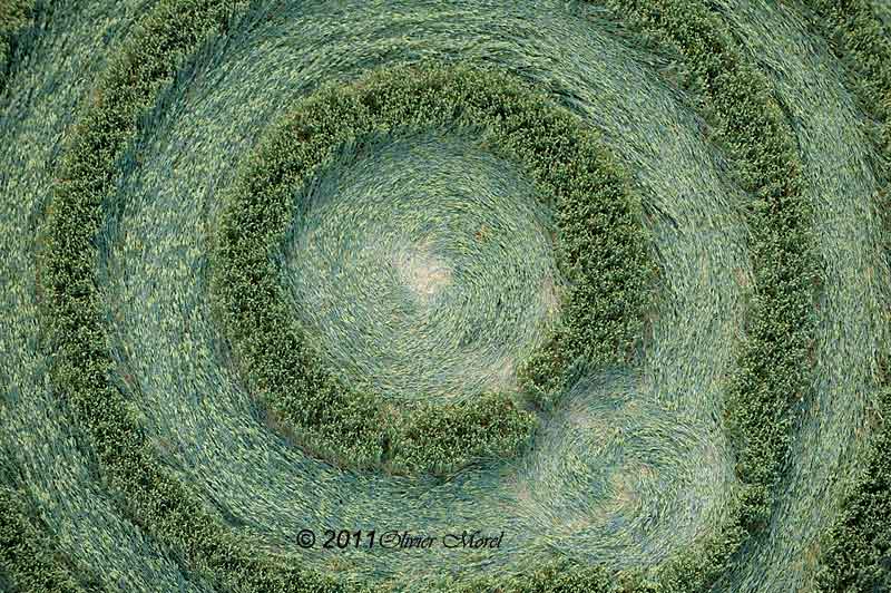 Cow Drove Hill, Hampshire crop circle, aerial photo 7