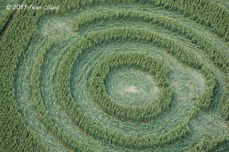 Cow Drove Hill, Hampshire crop circle, aerial photo 8
