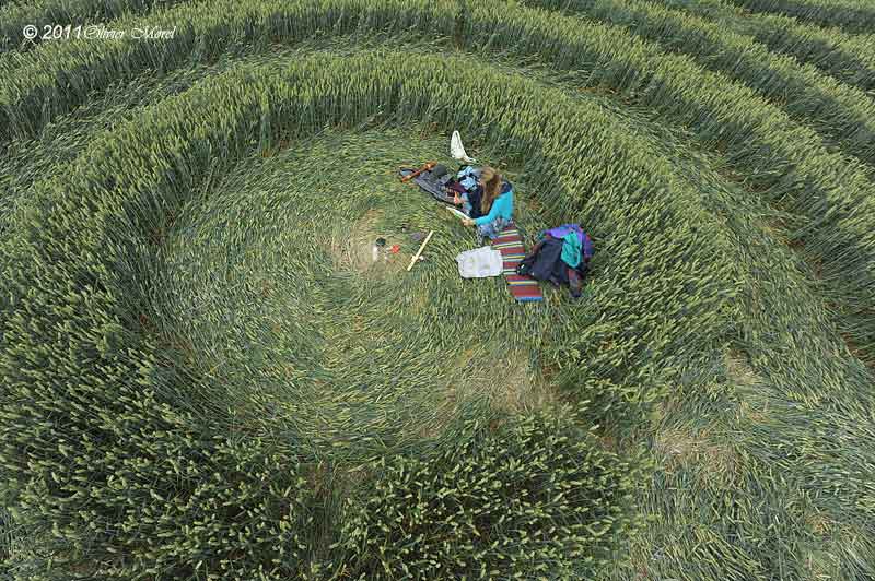 Cow Drove Hill, Hampshire crop circle, aerial photo 52