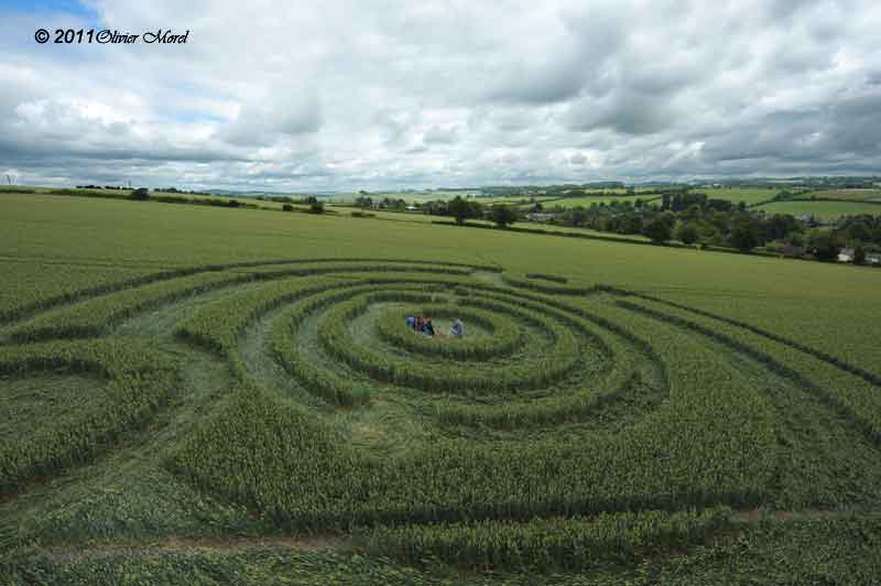 Cow Drove Hill, Hampshire crop circle, aerial photo 53