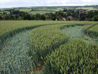 Cow Drove Hill, Hampshire crop circle, aerial photo 34
