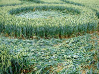 Cow Drove Hill, Hampshire crop circle, aerial photo 36