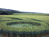 Cow Drove Hill, Hampshire crop circle, aerial photo 37