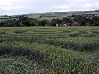 Cow Drove Hill, Hampshire crop circle, aerial photo 39