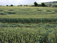 Cow Drove Hill, Hampshire crop circle, aerial photo 42
