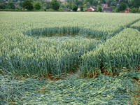 Cow Drove Hill, Hampshire crop circle, aerial photo 51