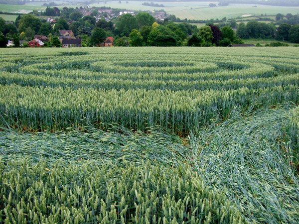 Cow Drove Hill, Hampshire crop circle, aerial photo 29