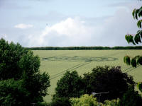 Cow Drove Hill, Hampshire crop circle, aerial photo 31