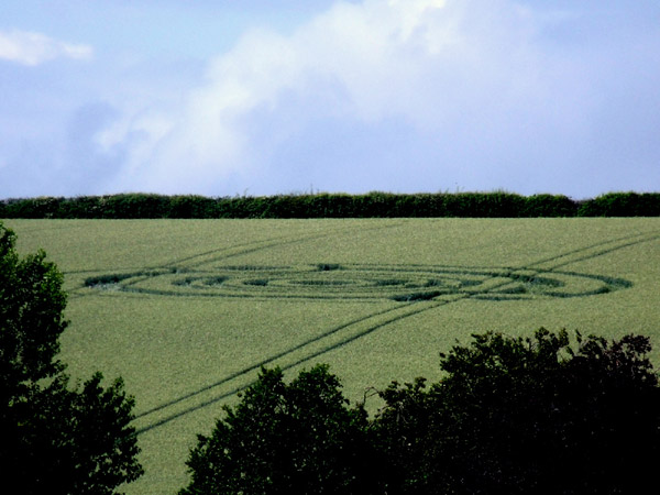 Cow Drove Hill, Hampshire crop circle, aerial photo 28