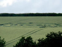 Cow Drove Hill, Hampshire crop circle, aerial photo 33