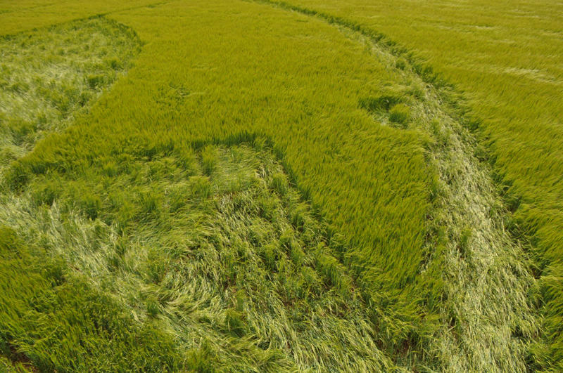 Stonehenge (1), Wiltshire crop circle, aerial photo 23
