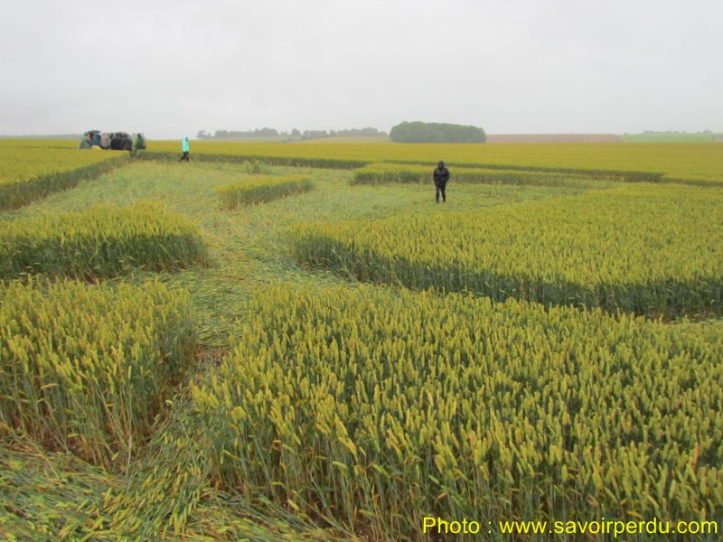 Stonehenge (3), Wiltshire crop circle, aerial photo 40