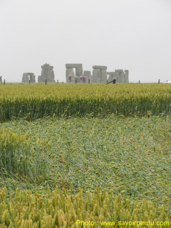 Stonehenge (3), Wiltshire crop circle, aerial photo 43