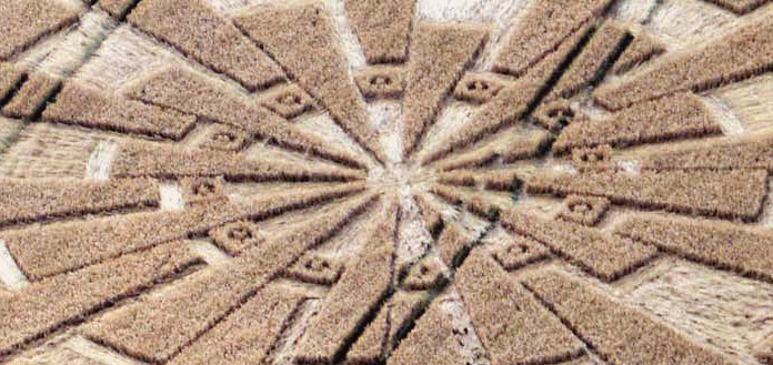 Temple Farm, Wiltshire crop circle, aerial photo 9