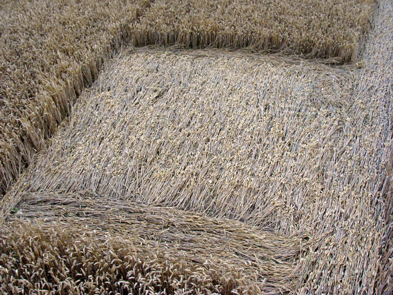 Temple Farm, Wiltshire crop circle, aerial photo 32