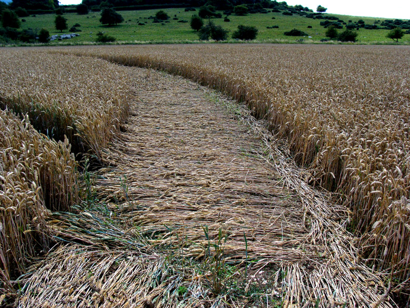 Temple Farm, Wiltshire crop circle, aerial photo 33