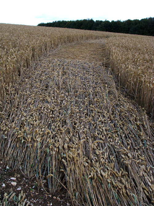 Temple Farm, Wiltshire crop circle, aerial photo 35