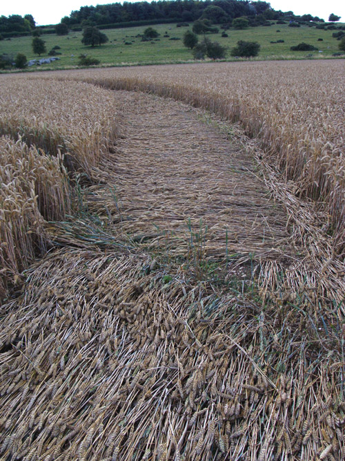 Temple Farm, Wiltshire crop circle, aerial photo 34