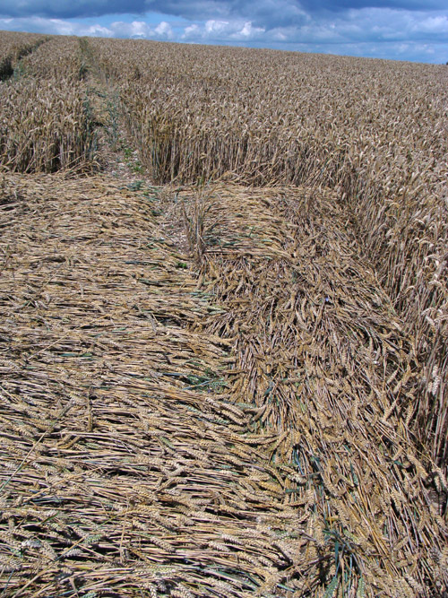 Temple Farm, Wiltshire crop circle, aerial photo 36