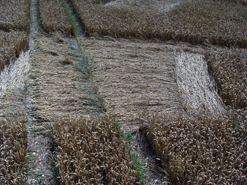 Temple Farm, Wiltshire crop circle, aerial photo 38