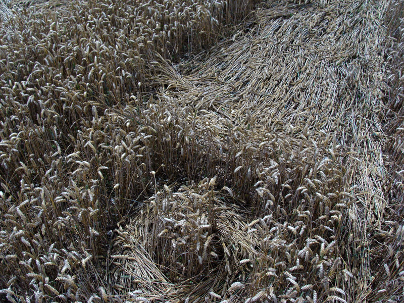 Temple Farm, Wiltshire crop circle, aerial photo 39
