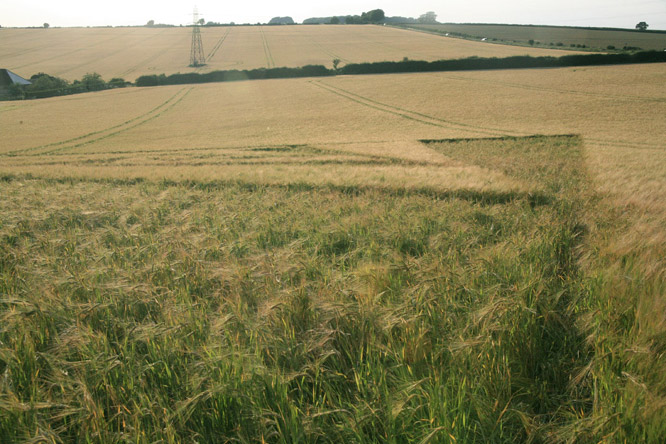 New Warren Farm, Hampshire crop circle, aerial photo 29