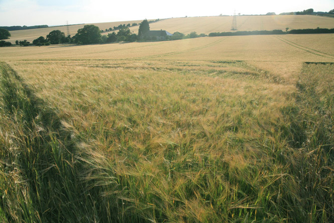 New Warren Farm, Hampshire crop circle, aerial photo 30