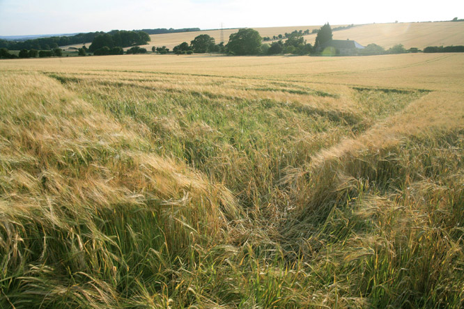 New Warren Farm, Hampshire crop circle, aerial photo 27