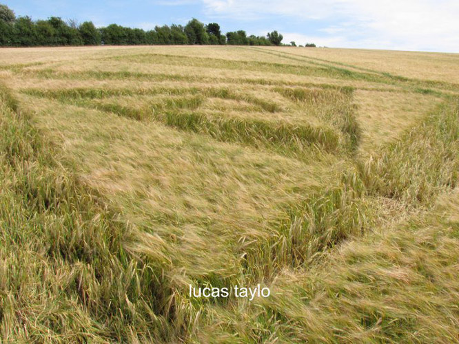 New Warren Farm, Hampshire crop circle, aerial photo 24