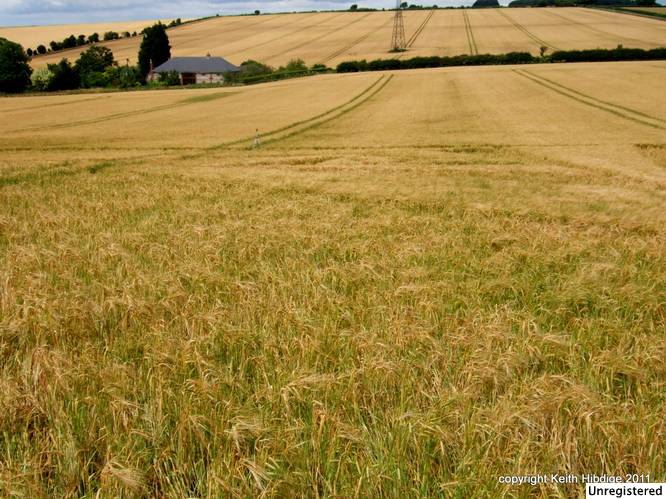 New Warren Farm, Hampshire crop circle, aerial photo 37