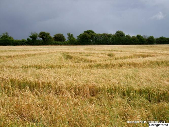 New Warren Farm, Hampshire crop circle, aerial photo 35