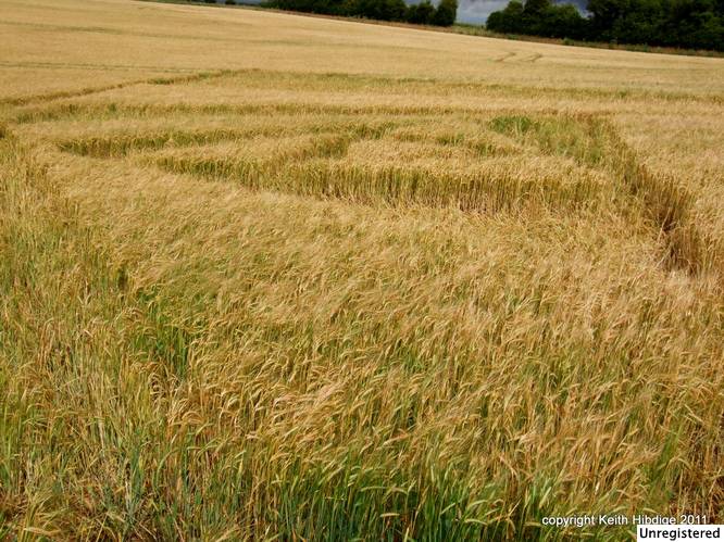 New Warren Farm, Hampshire crop circle, aerial photo 33